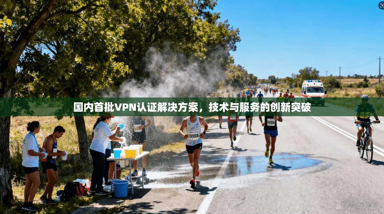 国内首批VPN认证解决方案，技术与服务的创新突破