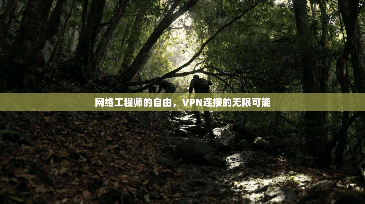 网络工程师的自由，VPN连接的无限可能