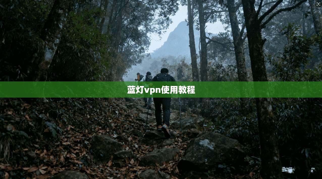 蓝灯vpn使用教程