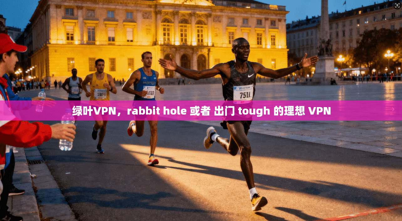 绿叶VPN，rabbit hole 或者 出门 tough 的理想 VPN