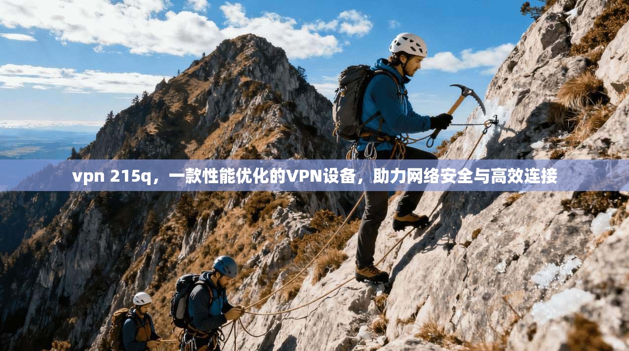 vpn 215q，一款性能优化的VPN设备，助力网络安全与高效连接