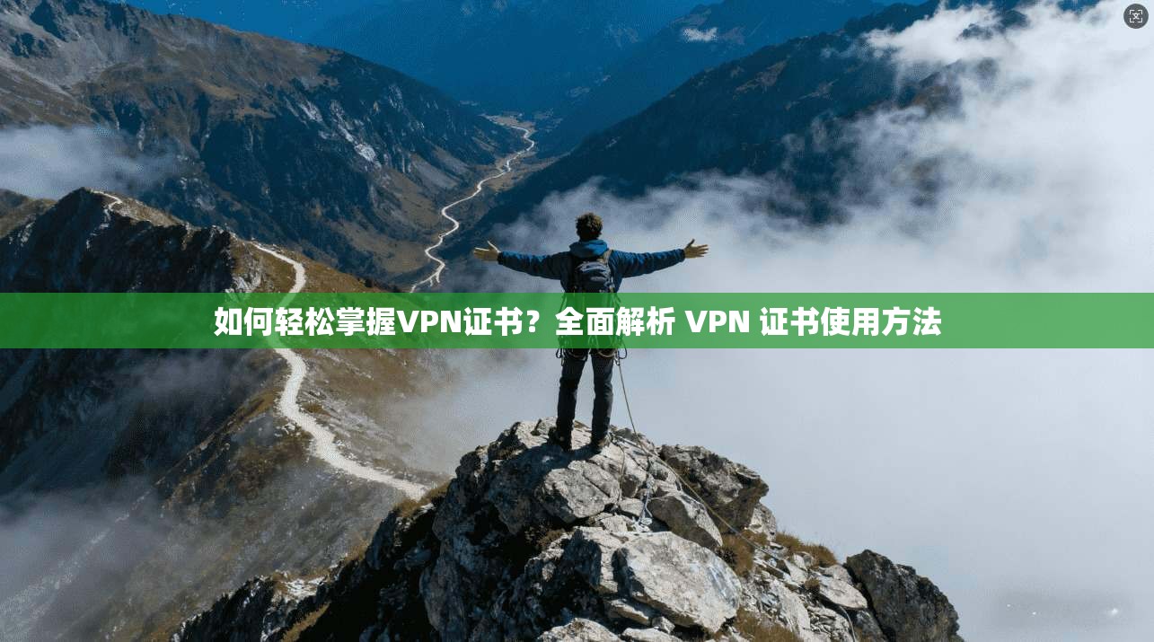 如何轻松掌握VPN证书？全面解析 VPN 证书使用方法