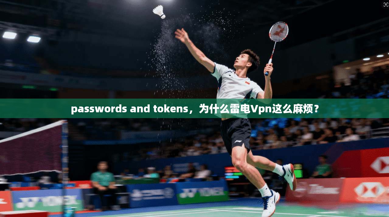 passwords and tokens，为什么雷电Vpn这么麻烦？
