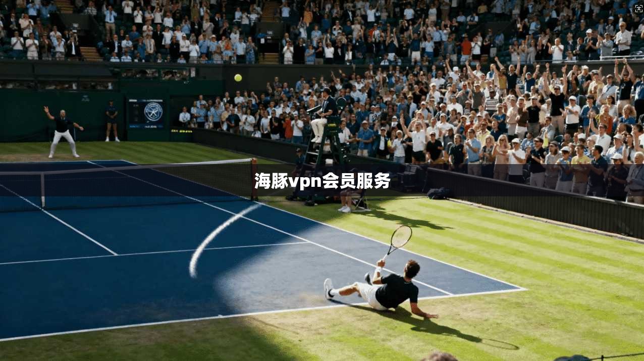 海豚vpn会员服务