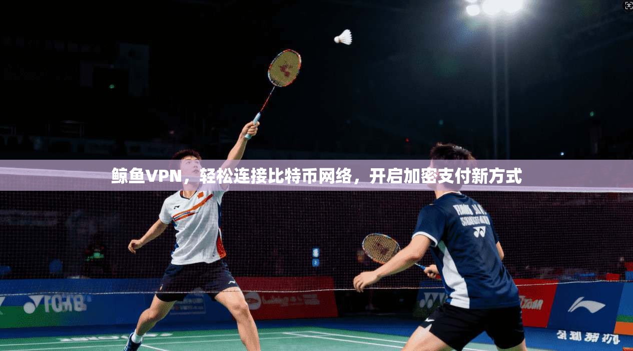 鲸鱼VPN，轻松连接比特币网络，开启加密支付新方式