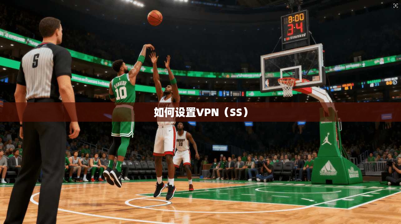 如何设置VPN（SS）  第1张