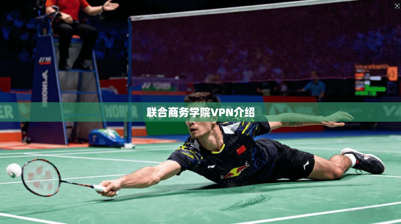联合商务学院VPN介绍