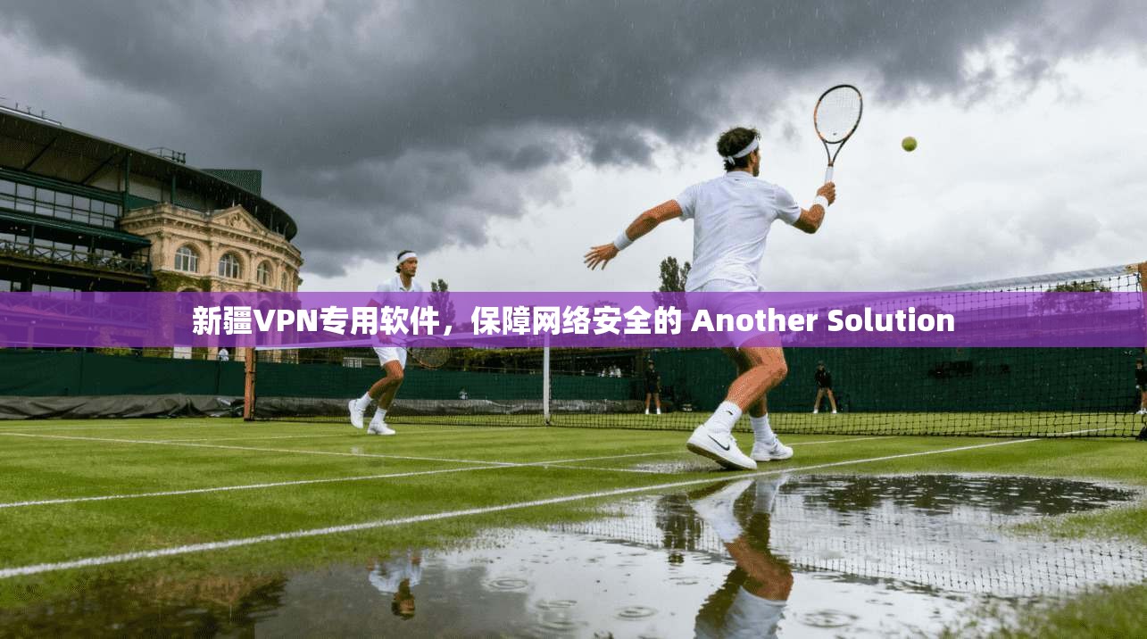 新疆VPN专用软件，保障网络安全的 Another Solution