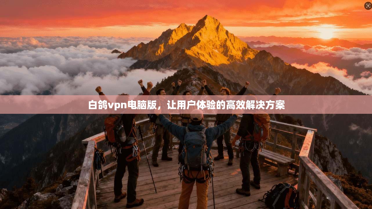 白鸽vpn电脑版，让用户体验的高效解决方案