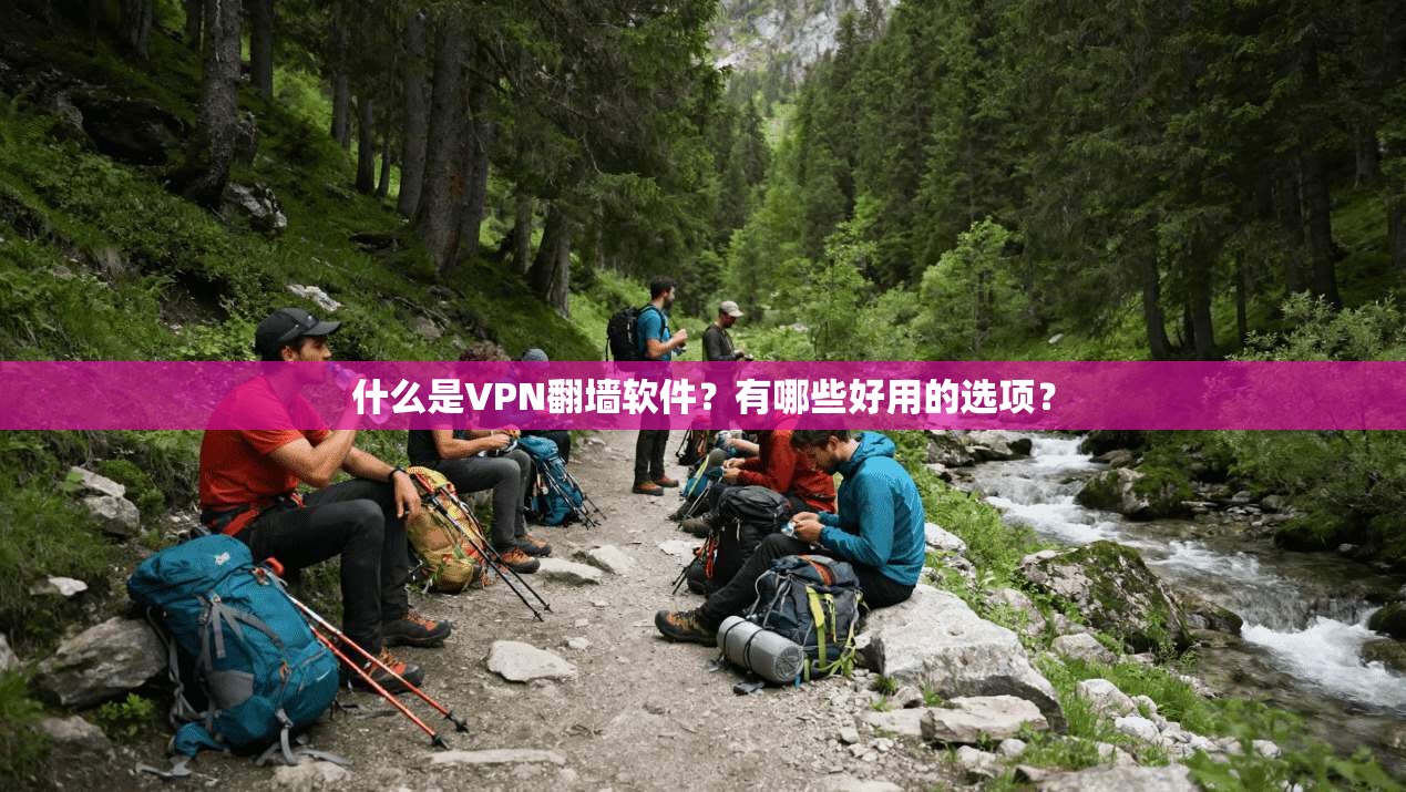 什么是VPN翻墙软件？有哪些好用的选项？