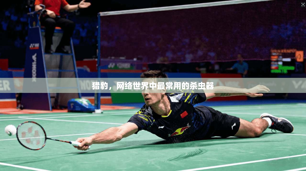 猎豹，网络世界中最常用的杀虫器