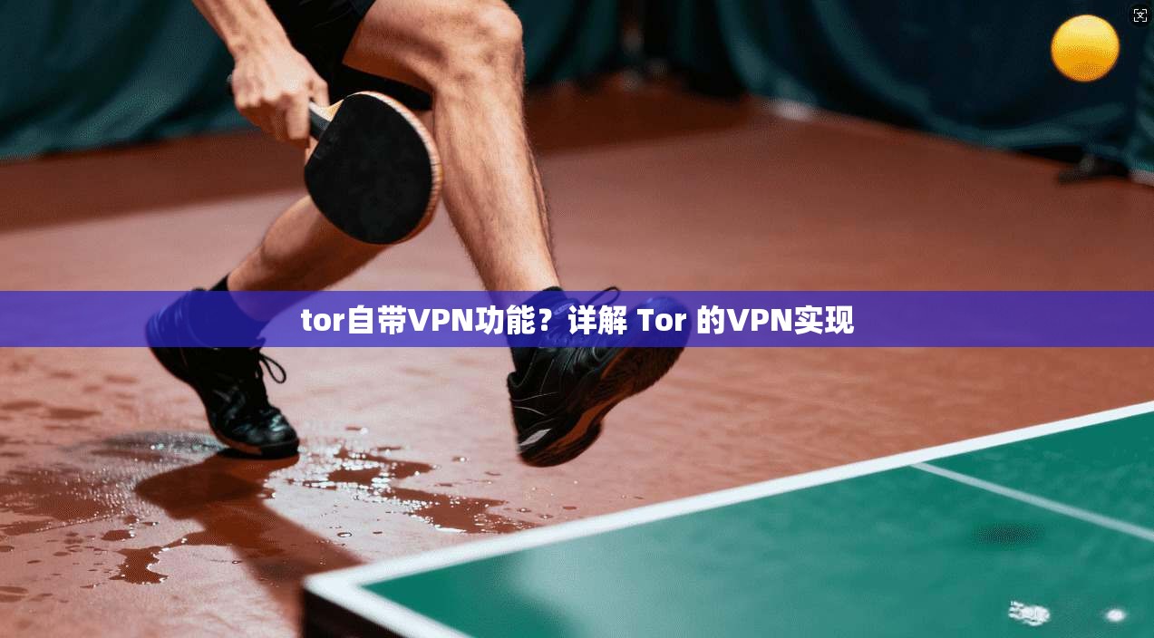 tor自带VPN功能？详解 Tor 的VPN实现