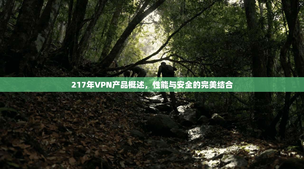 217年VPN产品概述，性能与安全的完美结合