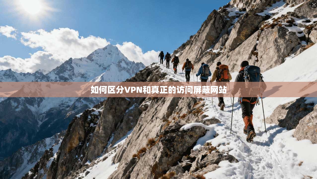 如何区分VPN和真正的访问屏蔽网站