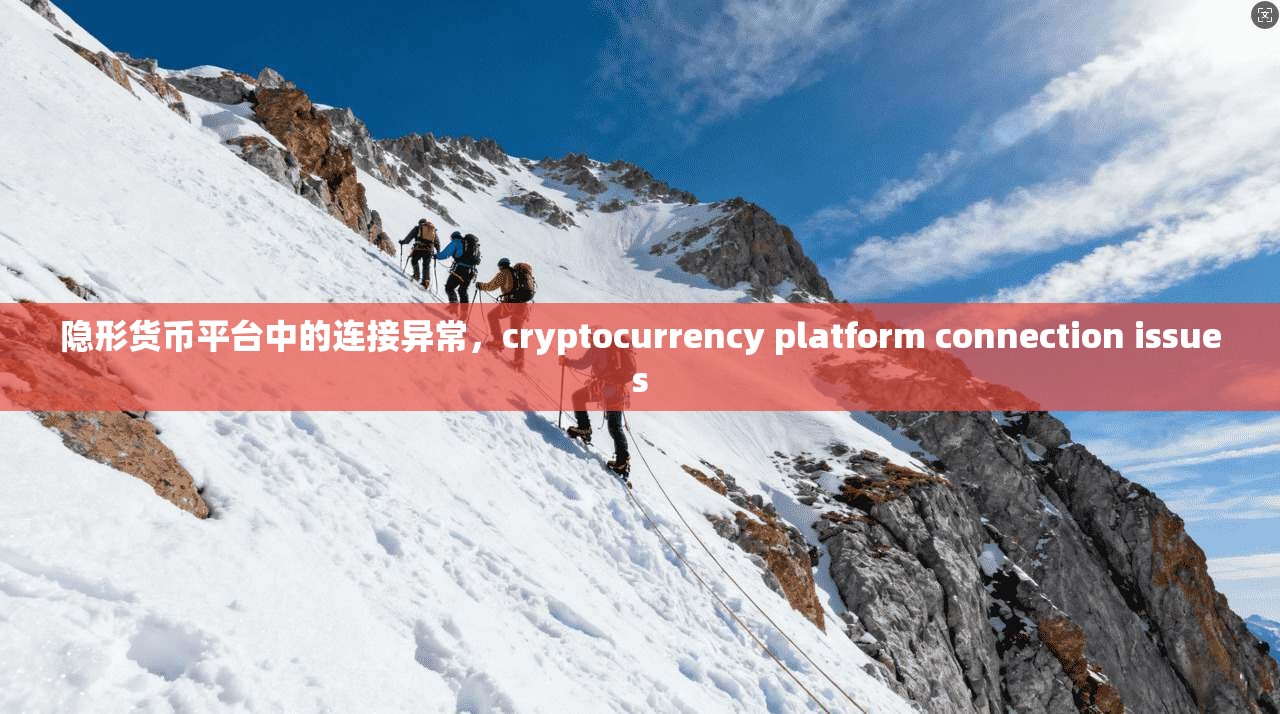 隐形货币平台中的连接异常，cryptocurrency platform connection issues