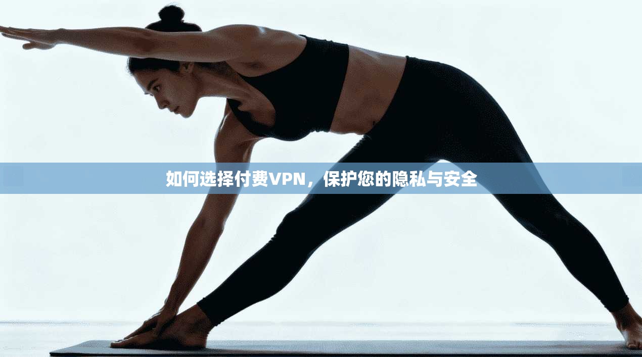 如何选择付费VPN，保护您的隐私与安全