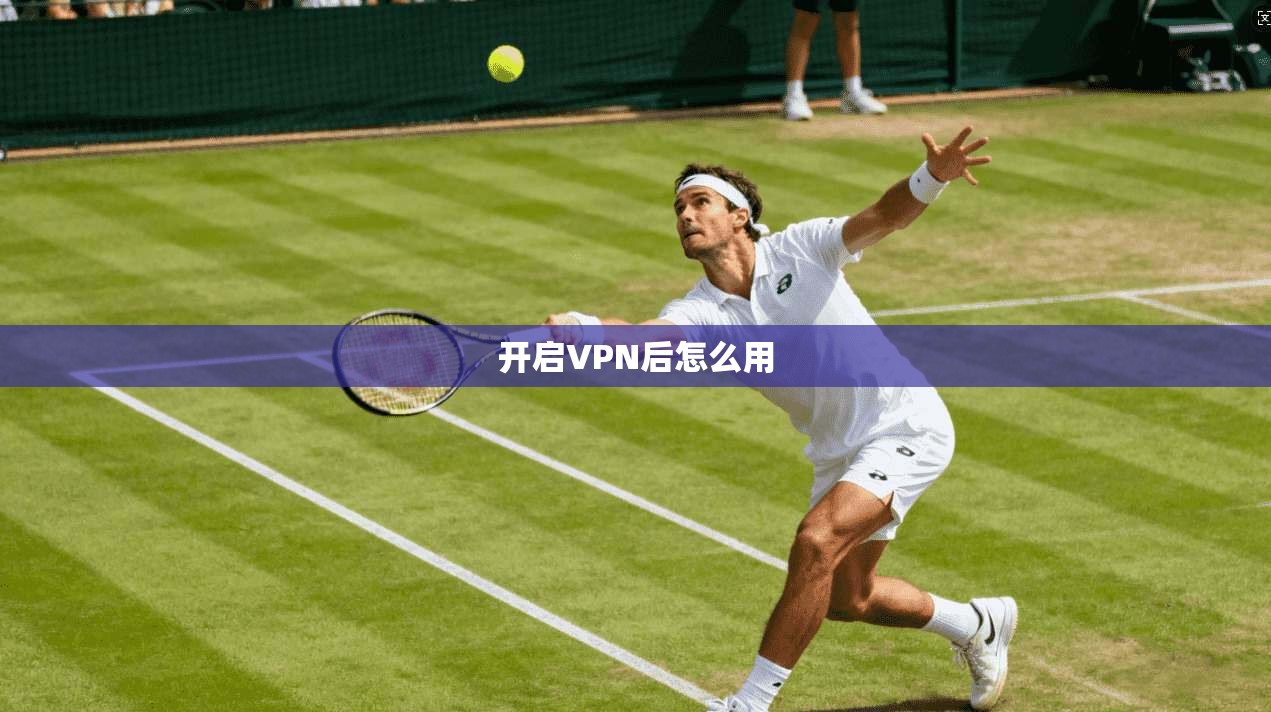 开启VPN后怎么用