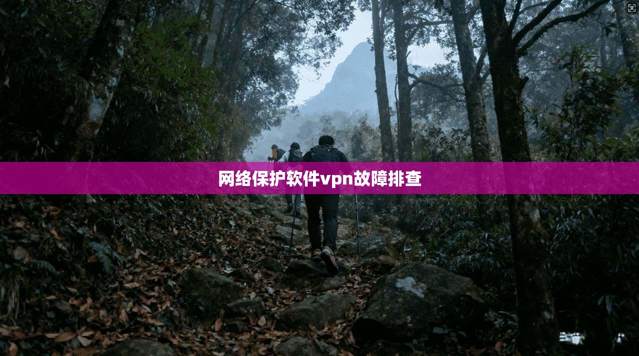 网络保护软件vpn故障排查
