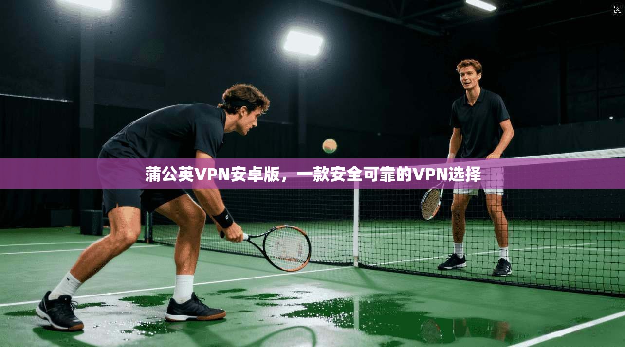 蒲公英VPN安卓版，一款安全可靠的VPN选择