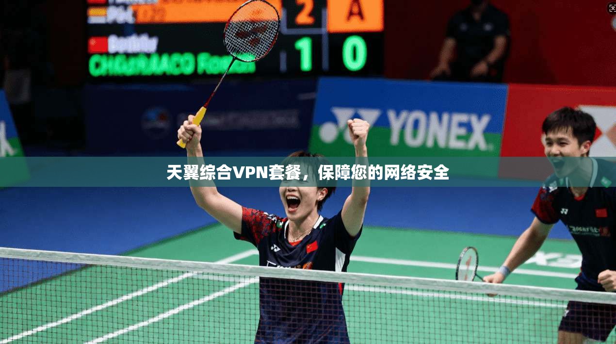 天翼综合VPN套餐，保障您的网络安全