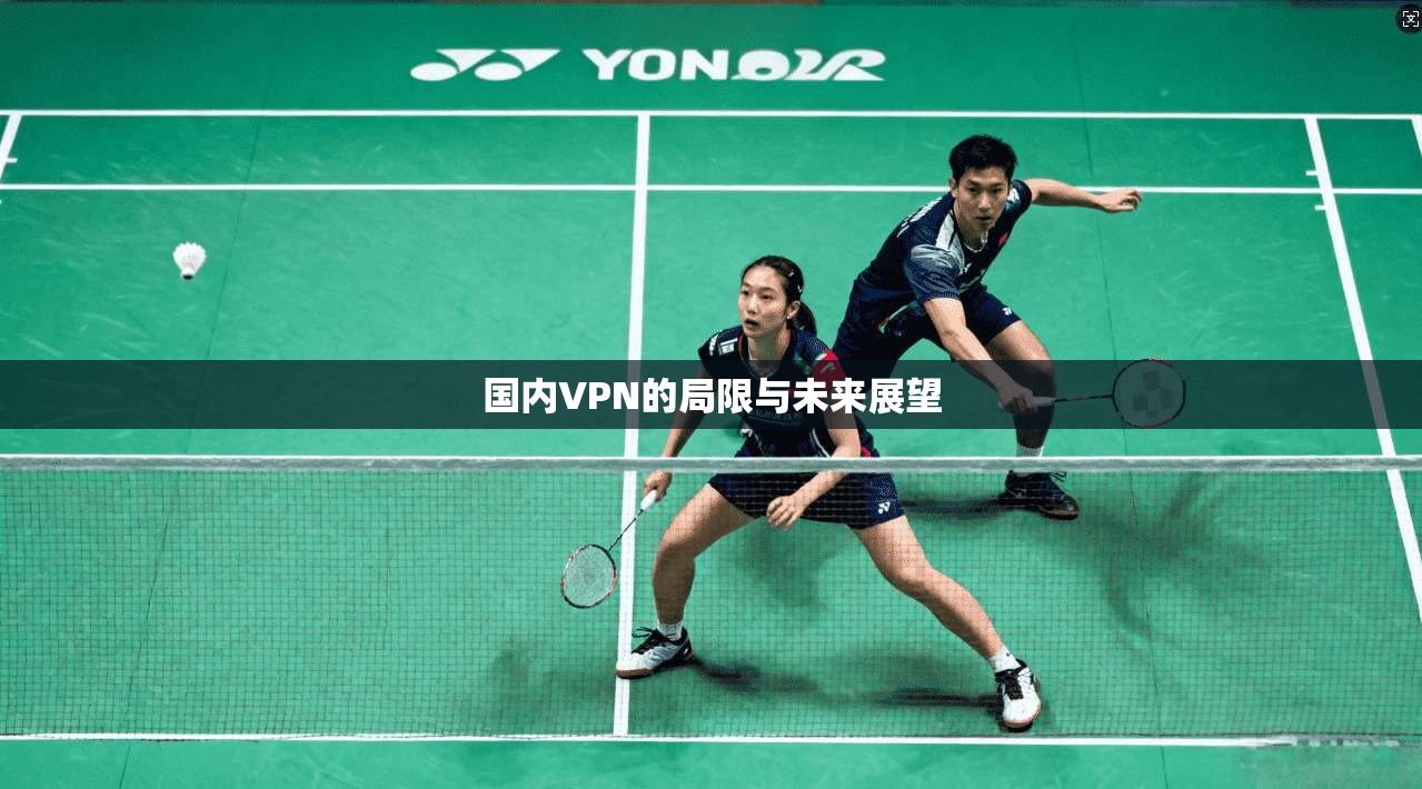 国内VPN的局限与未来展望