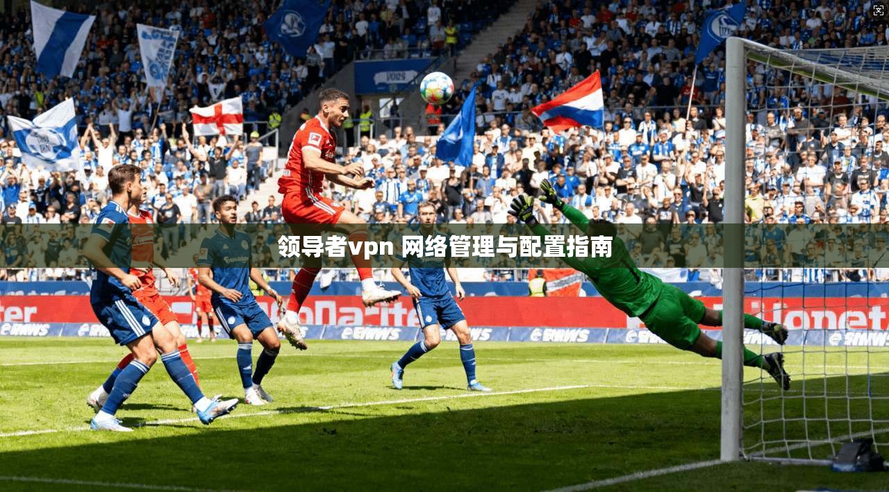 领导者vpn 网络管理与配置指南