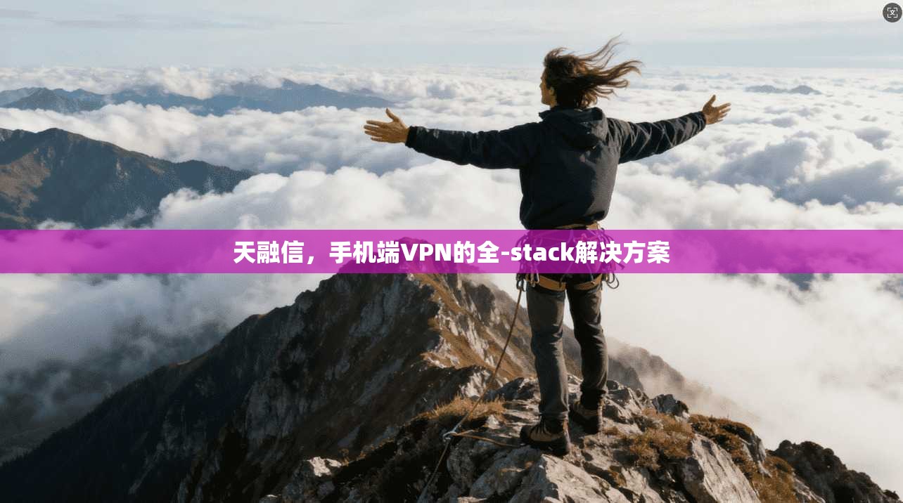 天融信，手机端VPN的全-stack解决方案