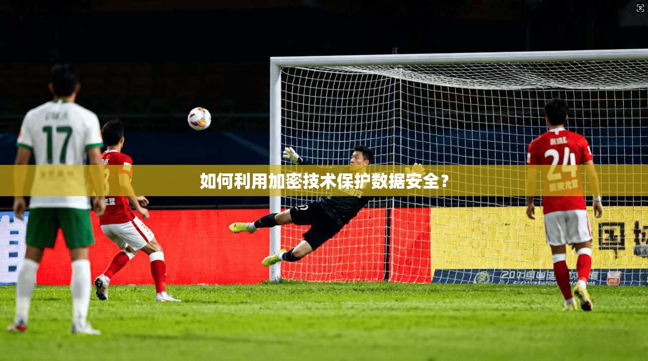 如何利用加密技术保护数据安全？