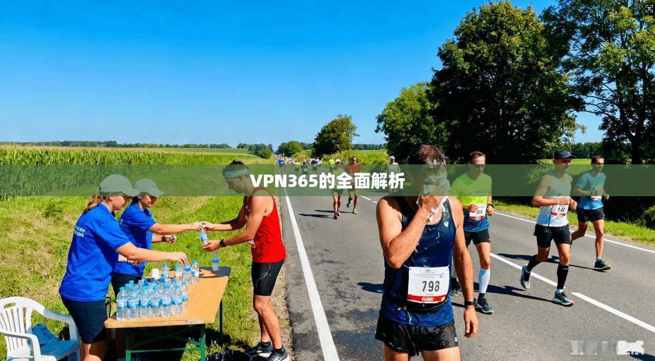 VPN365的全面解析