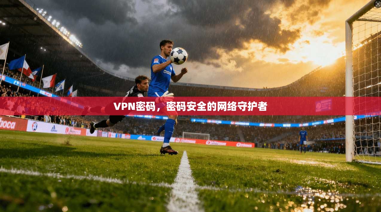 VPN密码，密码安全的网络守护者