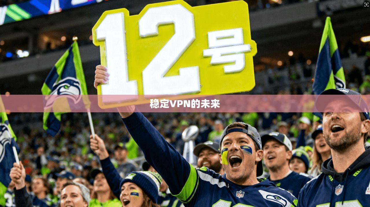 稳定VPN的未来
