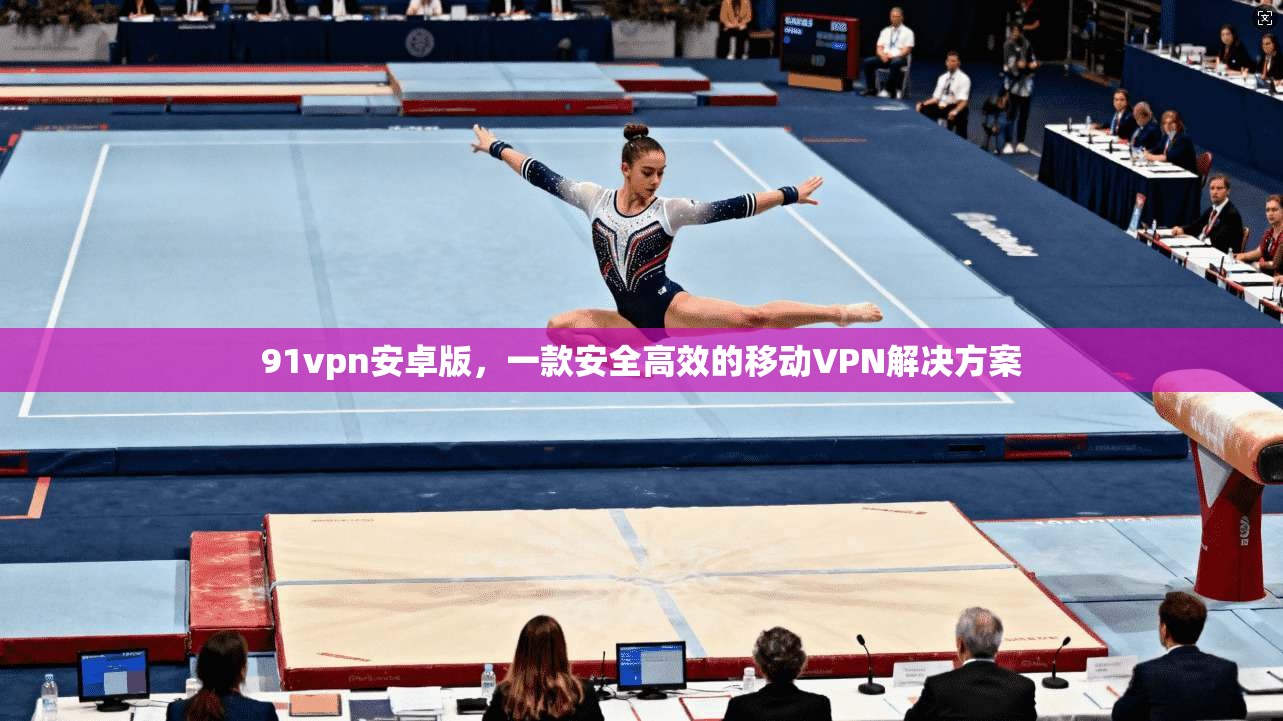 91vpn安卓版，一款安全高效的移动VPN解决方案