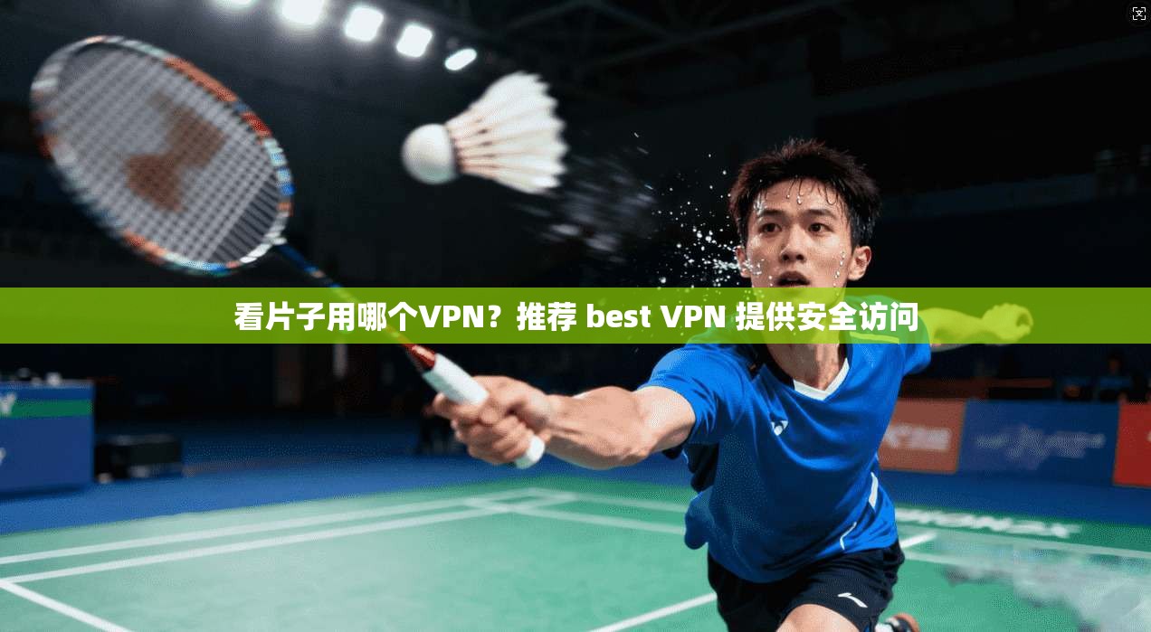 看片子用哪个VPN？推荐 best VPN 提供安全访问