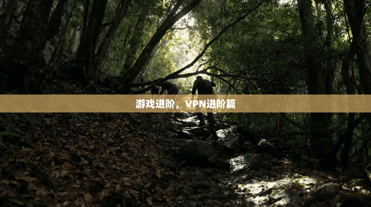 游戏进阶，VPN进阶篇