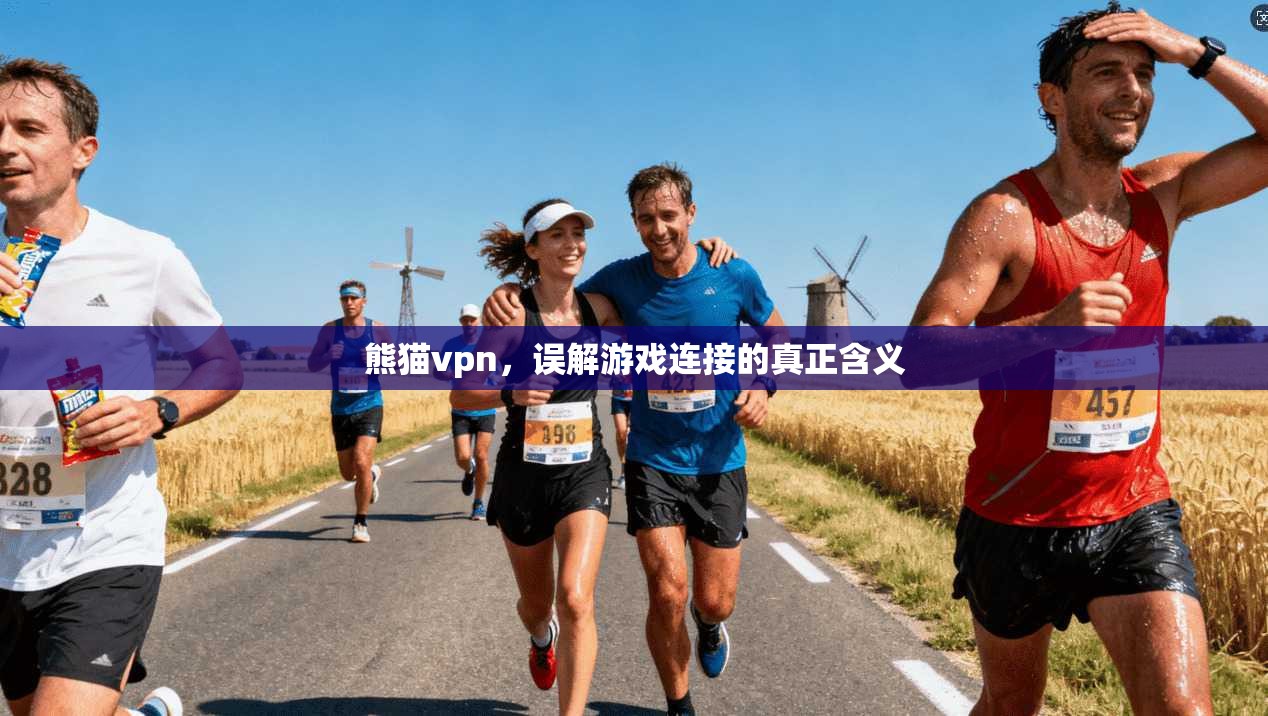 熊猫vpn，误解游戏连接的真正含义