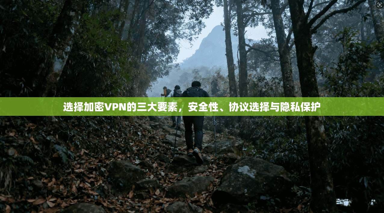 选择加密VPN的三大要素，安全性、协议选择与隐私保护
