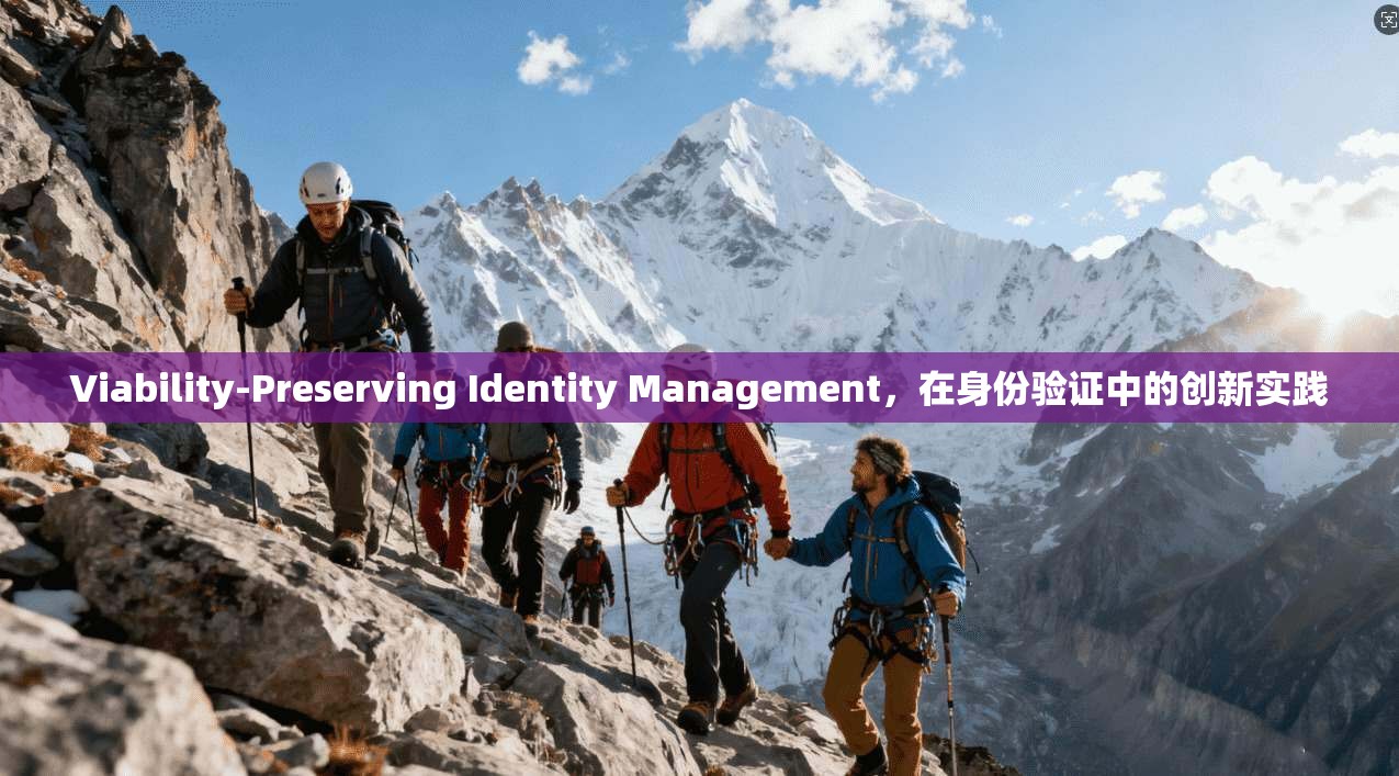 Viability-Preserving Identity Management，在身份验证中的创新实践