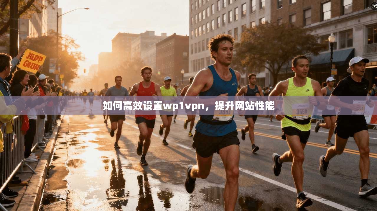 如何高效设置wp1vpn，提升网站性能