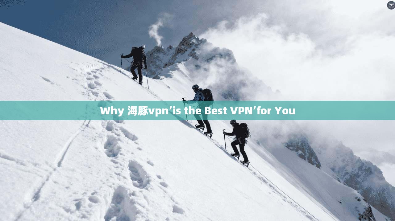 Why 海豚vpn’is the Best VPN’for You