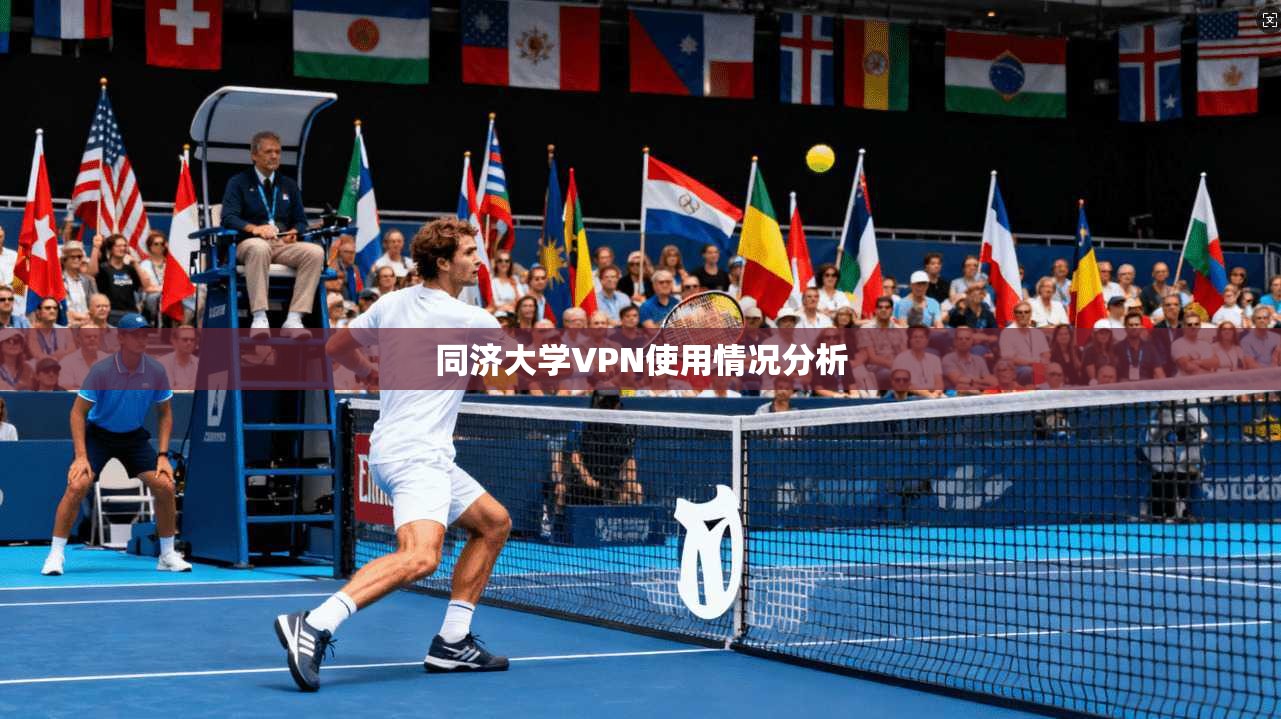 同济大学VPN使用情况分析