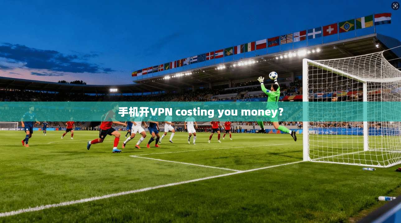 手机开VPN costing you money？