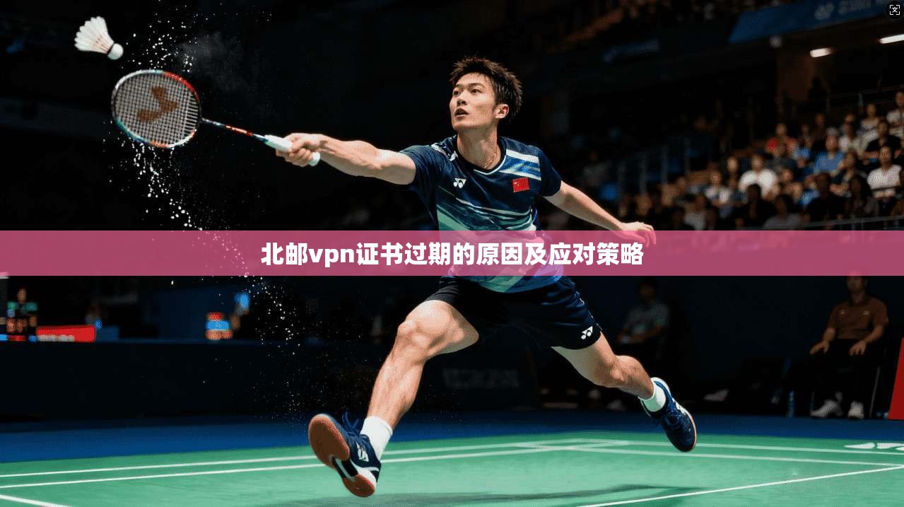 北邮vpn证书过期的原因及应对策略