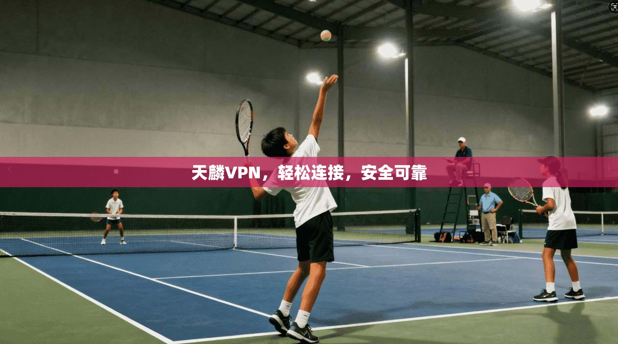 天麟VPN，轻松连接，安全可靠