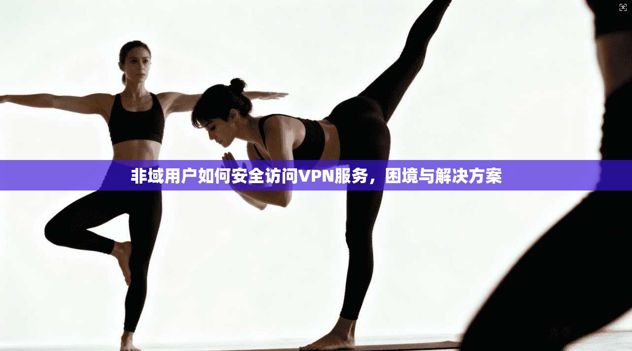 非域用户如何安全访问VPN服务，困境与解决方案