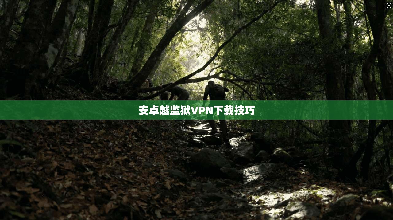 安卓越监狱VPN下载技巧
