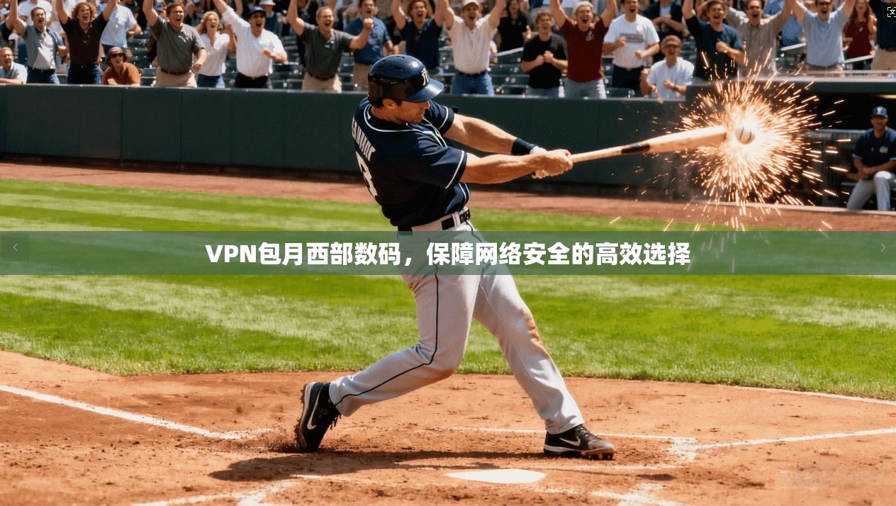 VPN包月西部数码，保障网络安全的高效选择