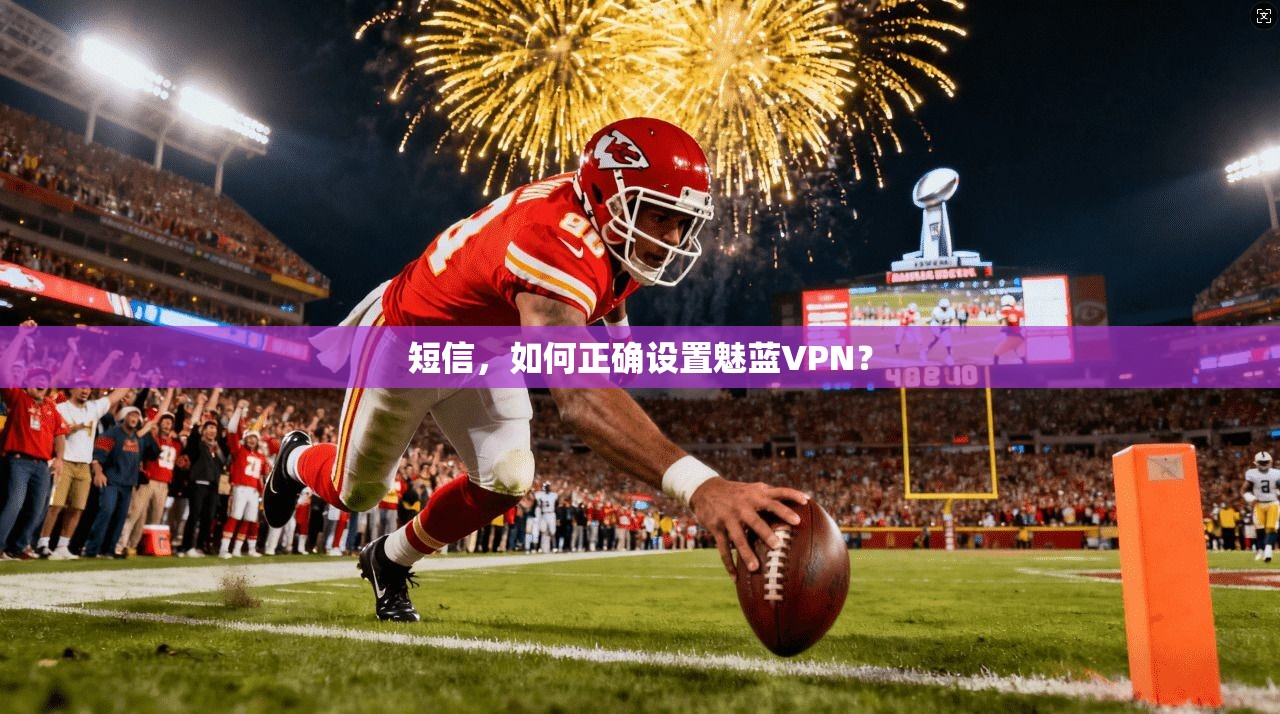 短信，如何正确设置魅蓝VPN？