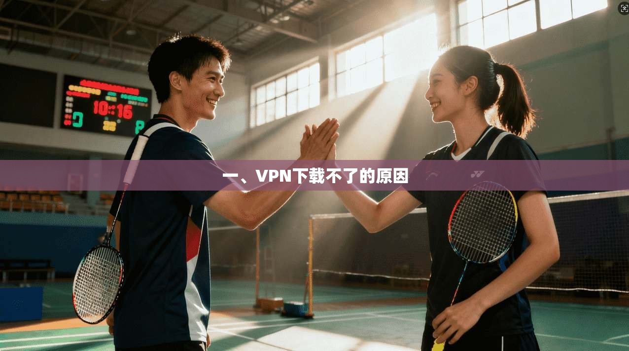 一、VPN下载不了的原因