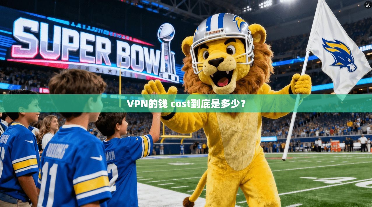 VPN的钱 cost到底是多少？