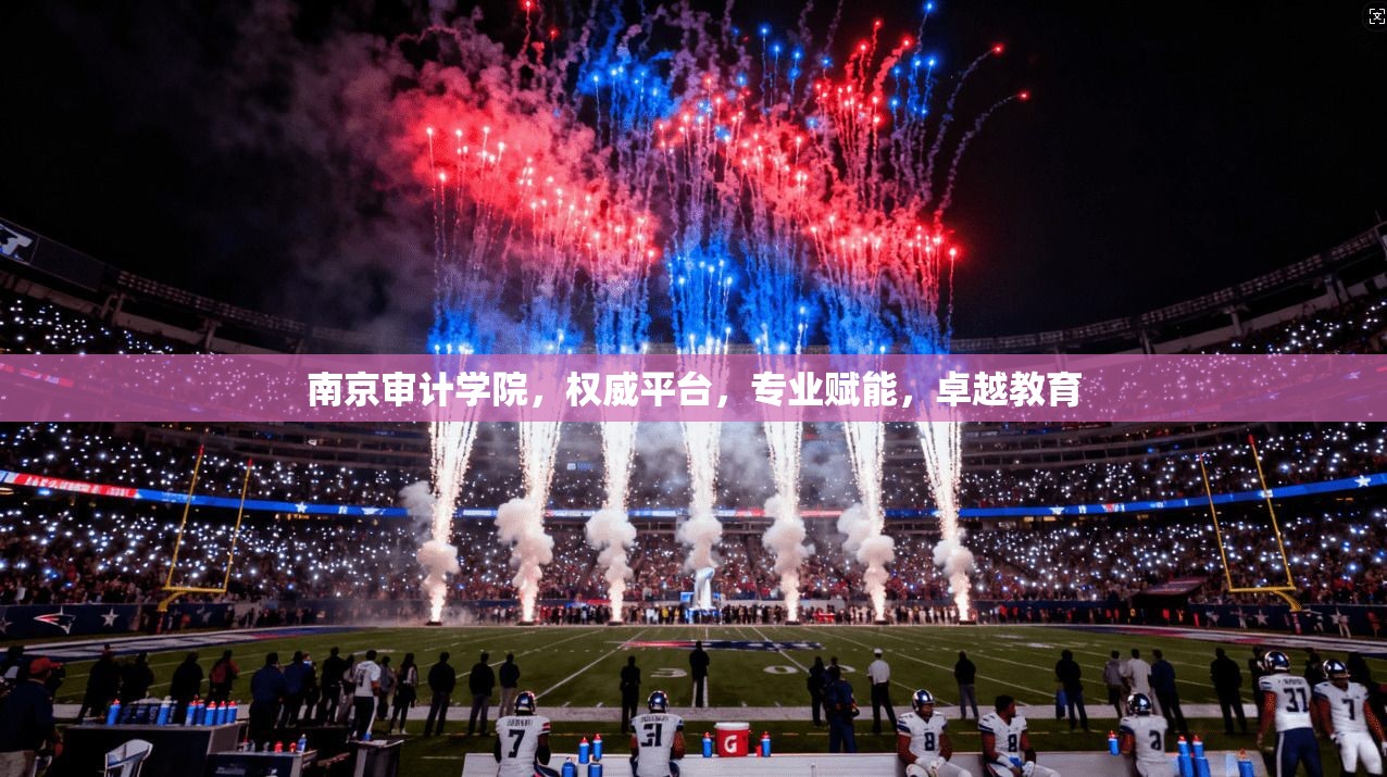 南京审计学院，权威平台，专业赋能，卓越教育